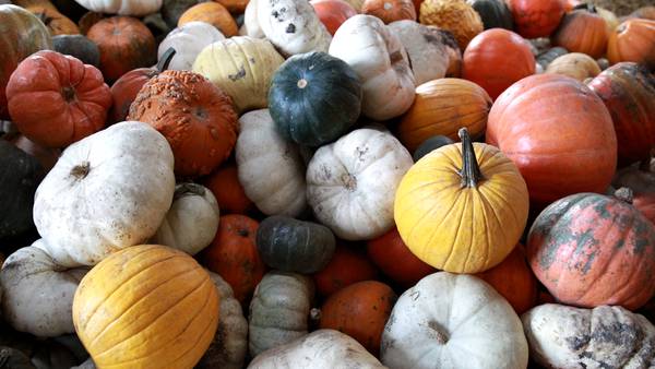 Sugar Grove church Harvest On Harter is Oct. 3