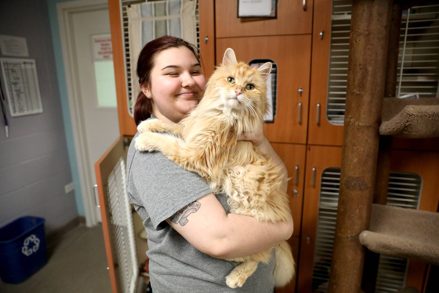 Skylar Knorr, cat care specialist at Anderson Humane in South Elgin, cuddles Amir. Animal rights advocates are backing a bill that would ban cat declawing. Those who adopt cats from Anderson Humane have to agree not to get the cats declawed.