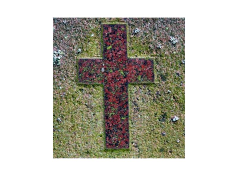 Generic cross image for faith or religious news.