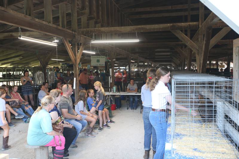 A crowd gathers for the poultry show during the La Salle County 4-H Fair on Friday, July 14, 2023 in Ottawa.