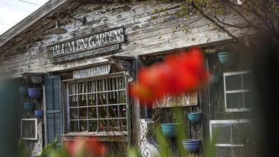 Galentine’s Day events happening in northern Illinois this February