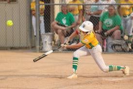 Providence cruises to 3A softball sectional win: The Herald-News Tuesday Roundup