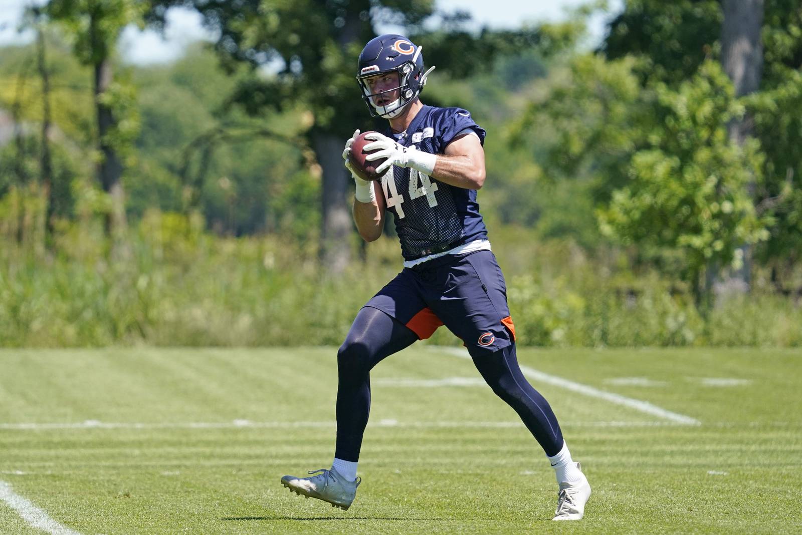 Bears sign 3 free agents, release 2 undrafted free agents Shaw Local