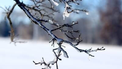 Freezing rain Tuesday night, dangerous snow bursts Wednesday: What to expect