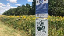 Farrell: DeKalb as Monarch City USA 