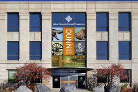World-class wildlife photography on display at the Dunn Museum