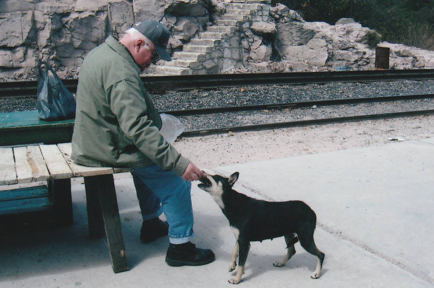 Jerry Taylor of Plainfield had a tender heart for animals, especially dogs, and couldn't resist feeding them.