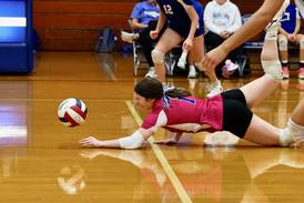 Photos: Mendota at Princeton volleyball