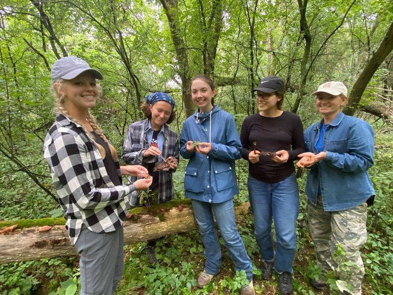 Students are invited to apply for the Land Conservancy of McHenry County’s Conservation Leadership Internship Program for the summer of 2023.