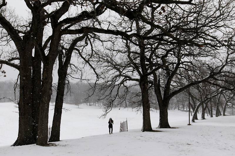 Justyna Kasper of Crystal Lakes waits at the top of the hill as her children test out the sledding conditions at Veterans Acres Park in Crystal Lake as a winter storm moves through McHenry County on Tuesday, Jan. 9, 2024, delivering snow to most of the county.