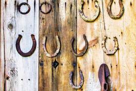 Equine Dreams awarded grant for accessible tack room construction