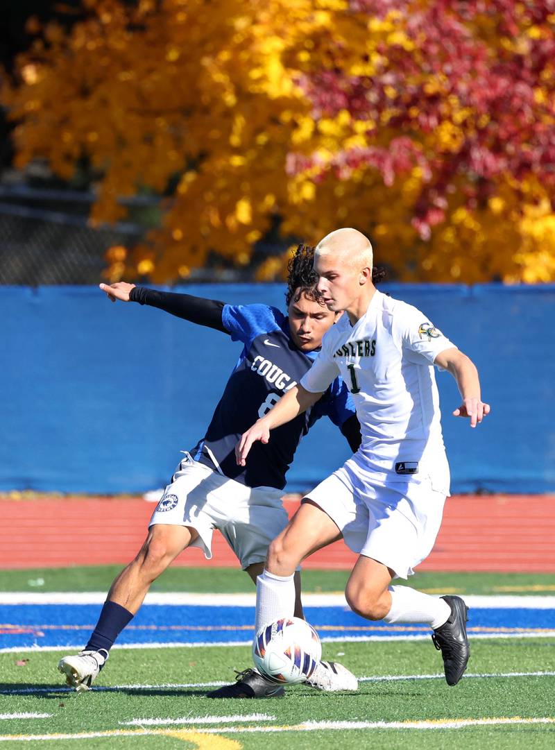 Coal City's Dylan Fatlan tries to get the ball by Chicago Academy's Jhostyn Lemus Friday, Nov. 7, 2025, during their Class 1A state third place game at Hoffman Estates High School.