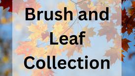 Oswego announces brush collection, leaf pickup dates