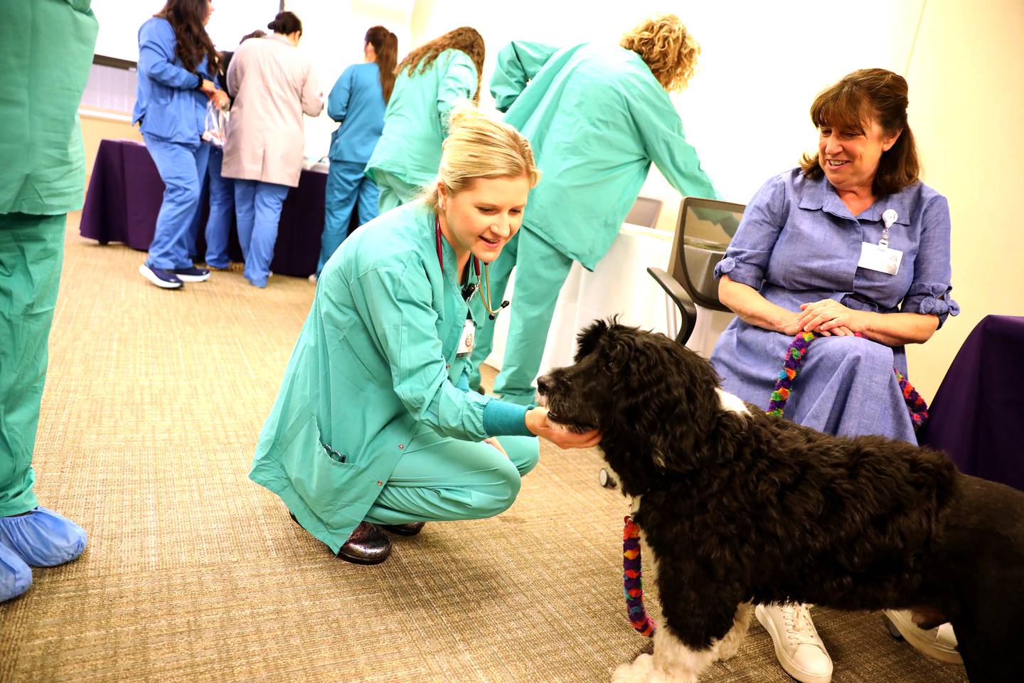 Registered Nurse Karen Doane visits with Portuguese water dog Wesley as Wesley’s owner and handler, Nancy Torosian, looks on as part of National Nurses Week festivities at Northwestern Medicine Delnor Hospital in Geneva on Wednesday, May 10, 2023.