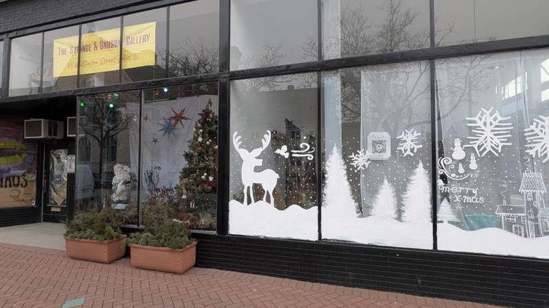 The Strange & Unusual Gallery is seen on Thursday, Dec. 19, 2024 at 34 W. Clinton St. in Joliet.