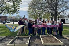 Community garden underway in La Salle, interested gardeners can rent a box for season