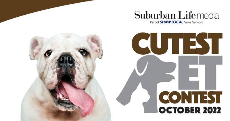 My Suburban Life Cutest Pet Contest - October 2022