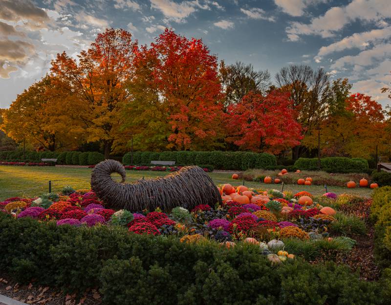 Enjoy Fall at Cantigny Park in Wheaton with several events that celebrate the season.