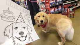 Sterling Police Department’s comfort dog, Millie, celebrates first birthday