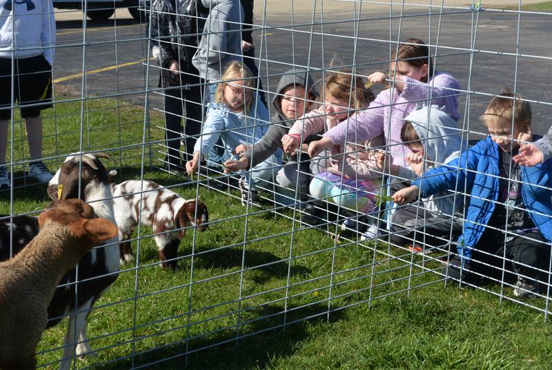 Forreston Grade School students offer grass to a nanny goat and her two-week-old kid at the Forreston FFA's Ag Day on Friday, April 12, 2024. In addition to the petting zoo, the event included farm tractors, and lessons from Forreston High School  FFA members.