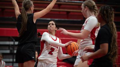 Photos: Bradley-Bourbonnais vs. Sandburg, girls basketball