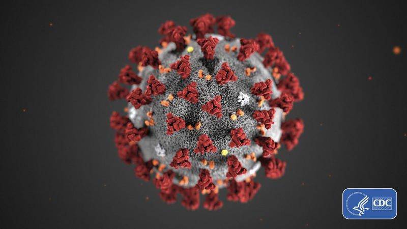 This illustration, created at the Centers for Disease Control and Prevention (CDC), reveals ultrastructural morphology exhibited by coronaviruses