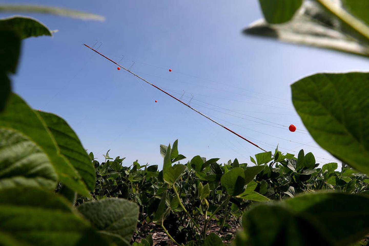 Contractors work on erecting a wind testing tower on Monday, July 17, 2017 in a soy bean field on MacQueen Road in South Grove.  The tower, also known as a MET (meteorological evaluation tower), is one of two highly contested structures at recent county and zoning meetings.