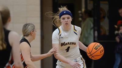 Amboy, Polo girls earn all-state honorable mention by IBCA