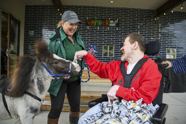 Therapy dogs and mini horses bring hope, healing and smiles across Fox Valley