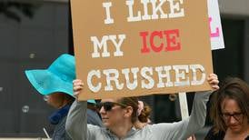 Photos: No Kings Protest in Lisle