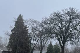 Thunderstorms could lead to hail, damaging winds across parts of northern Illinois