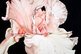Blue Moon Gallery launches new art season