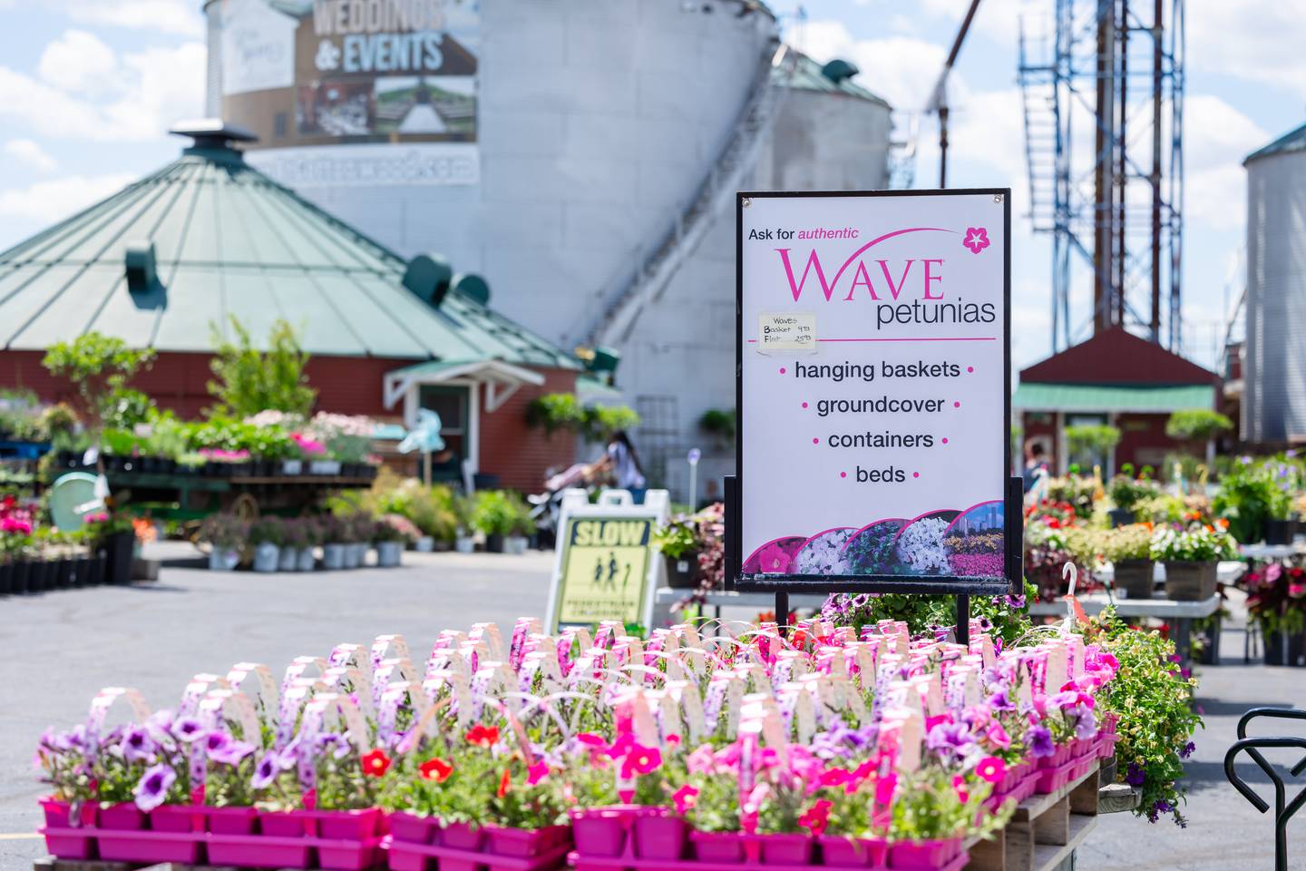 Siegel’s Cottonwood Farm in Crest Hill recently closed its garden center in April 2026 after 35 years. Customers praised the quality and wide variety of its plants.