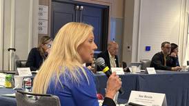 State Sen. Rezin helps lead energy policy discussions at task force meeting in Washington