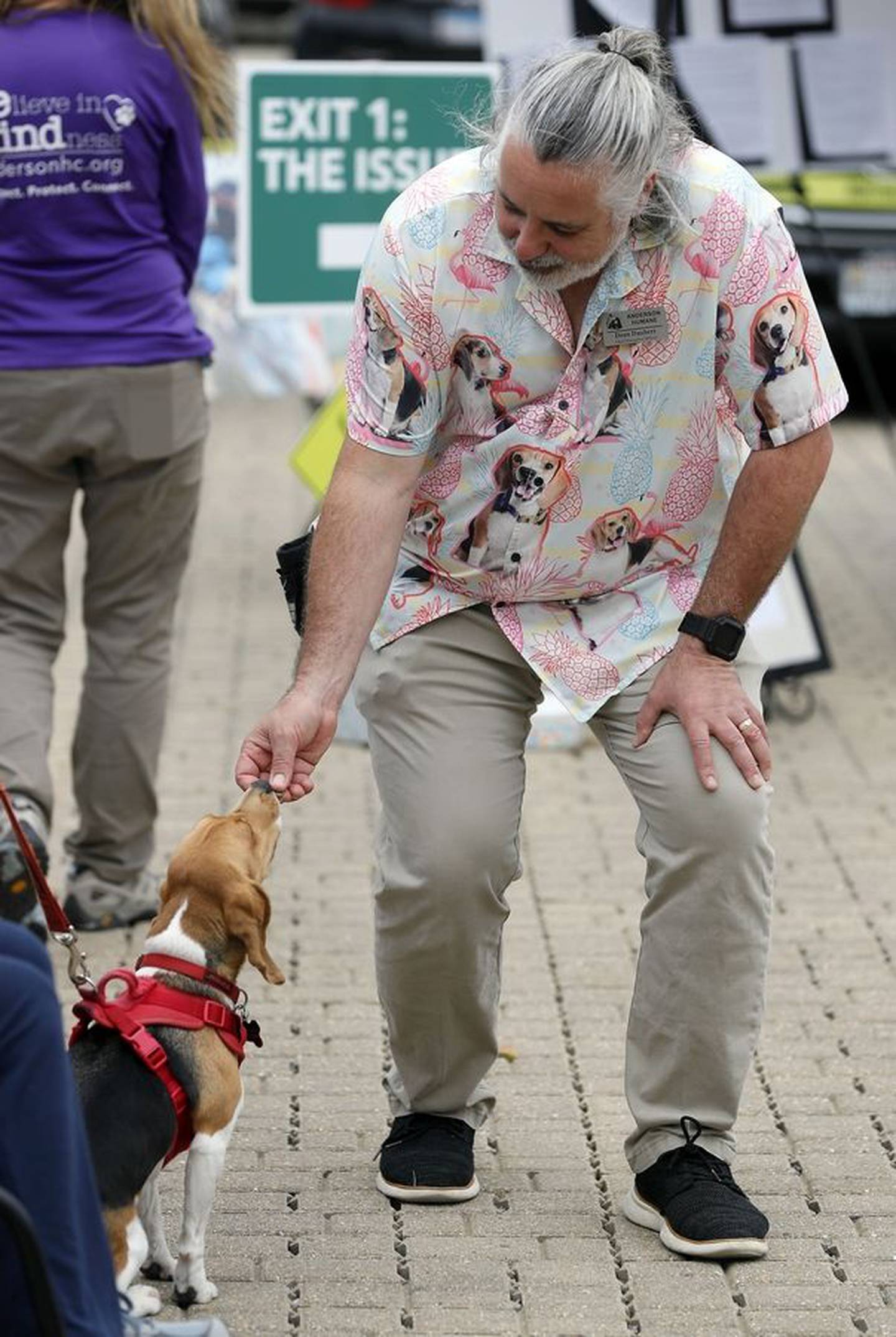 Wearing his beagle shirt, Dean Daubert, CEO of Anderson Humane, offers a treat to one of the dogs during a reunion the nonprofit held for beagles it rescued last year from an animal testing facility in Virginia.