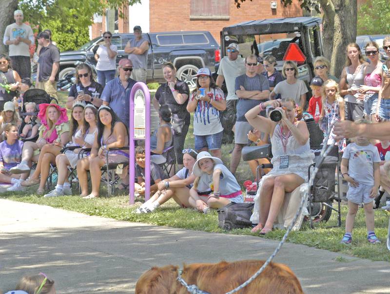 A crowd watches the dog parade, presented by TreeHouse Foods, on Saturday, July 5, at the annual Dixon Petunia Fest.