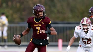 IHSA football playoffs expanded with passage of Proposal 19