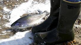 Trout fishing season opens at Cary, Chemung waterways on Saturday