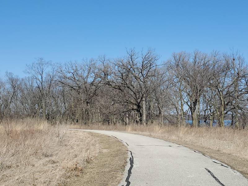 Nothing rejuvenates the spirits like taking a walk in natural surroundings. This photos was taken on such a walk near the Four Rivers Environmental Education Center in Channahon.