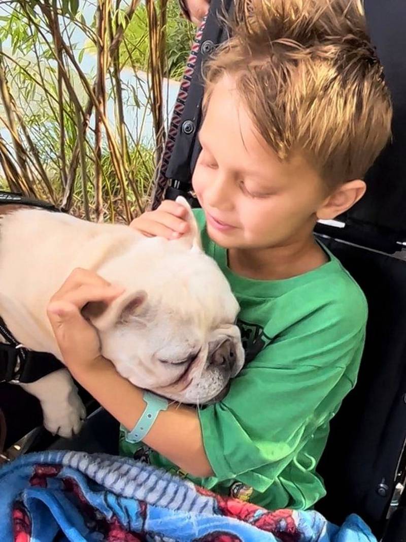 Cooper Roberts, paralyzed in the Highland Park parade shooting, was able to enjoy a play date with his dog, George, at the Shirley Ryan Ability Lab in Chicago. (Courtesy of the Roberts family)