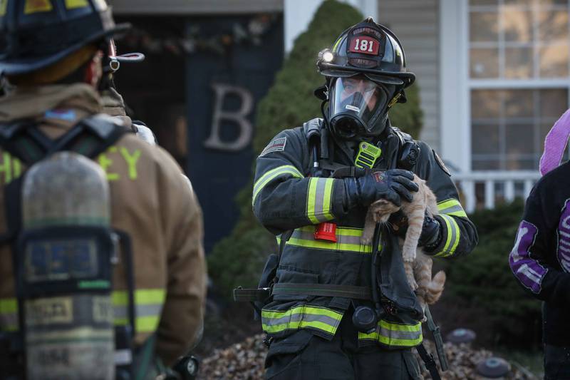 The Huntley Fire Protection District saves three pets during a house fire on Tuesday, April 15, 2025 at the 300 block of Stickley Lane in Lake in the Hills.