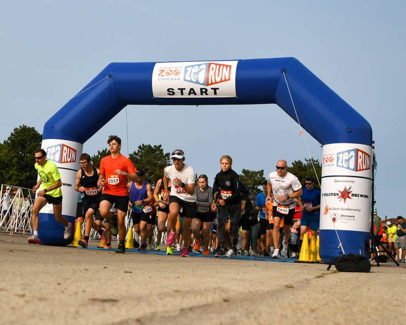 Participants take off at the start of the Zoo Run 5k on Sunday Sept. 8, 2024, held at Brookfield Zoo in Brookfield.