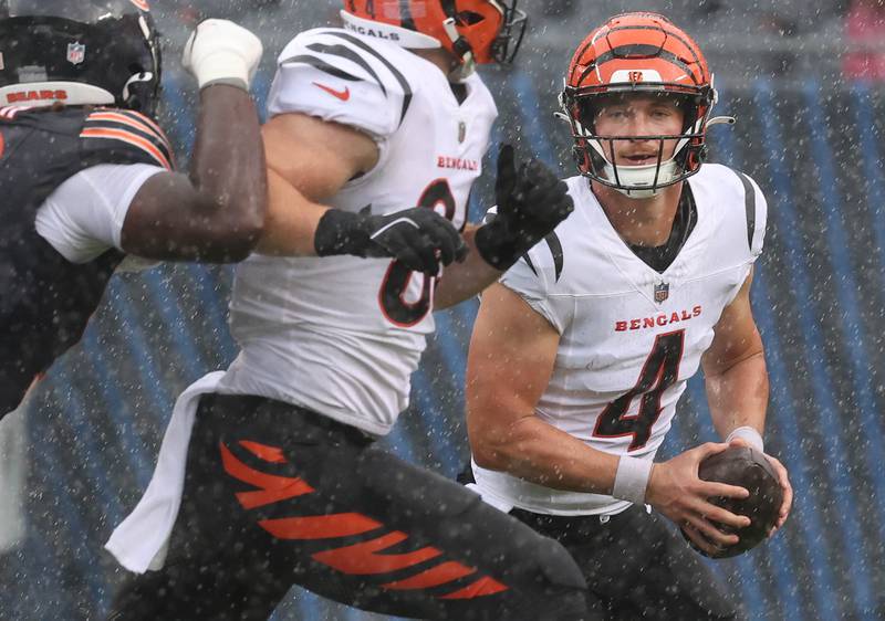 Former Northern Illinois University and current Cincinnati Bengals quarterback Rocky Lombardi rolls away from pressure in a heavy rain while making his NFL debut Saturday, Aug. 17, 2024, at Soldier Field in Chicago. Lombardi checked in during the second half of a 27-3 loss to the Chicago Bears. Lombardi is competing for a roster spot with the Bengals.