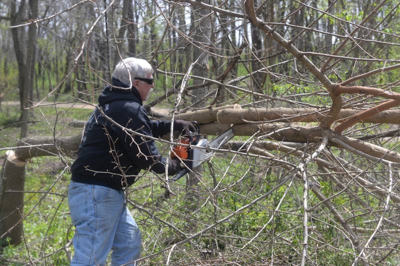 Dale Champlain saws a mulberry tree during a clean up at Weld Park on Friday, April 28. Volunteers and county officials worked together to spruce up the only county-owned park, located south of Byron and Stillman Valley.