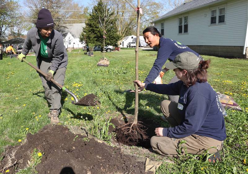 Lisa Nalliah, (left) Mia Howerton and Katrina Lewin, (right) from Morton Arboretum, demonstrate how to plant a tree for volunteers Tuesday, April 21, 2026, during the event at Elder Care Services in DeKalb. Several trees were planted at the location to kick off the DeKalb Township’s 250 Trees for Tomorrow initiative.
