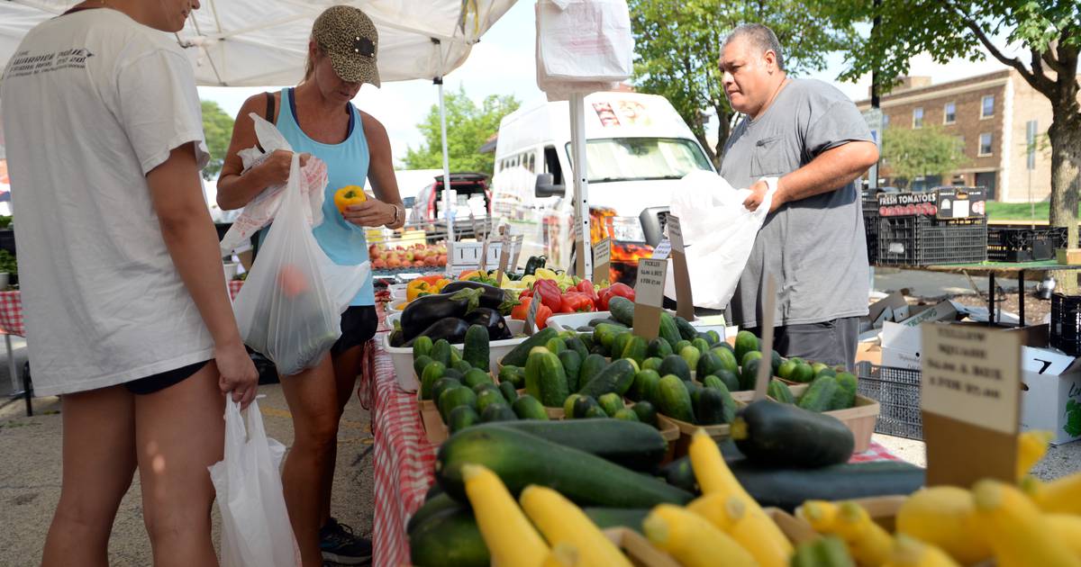 Photos Downers Grove Farmers Market Shaw Local