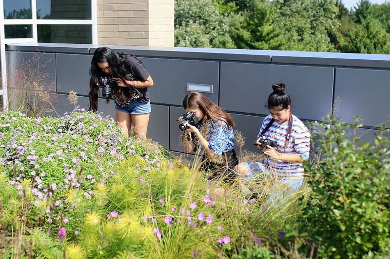 The rooftop garden on Stevenson High School's recently renovated east building supports instruction in biology and botany classes.