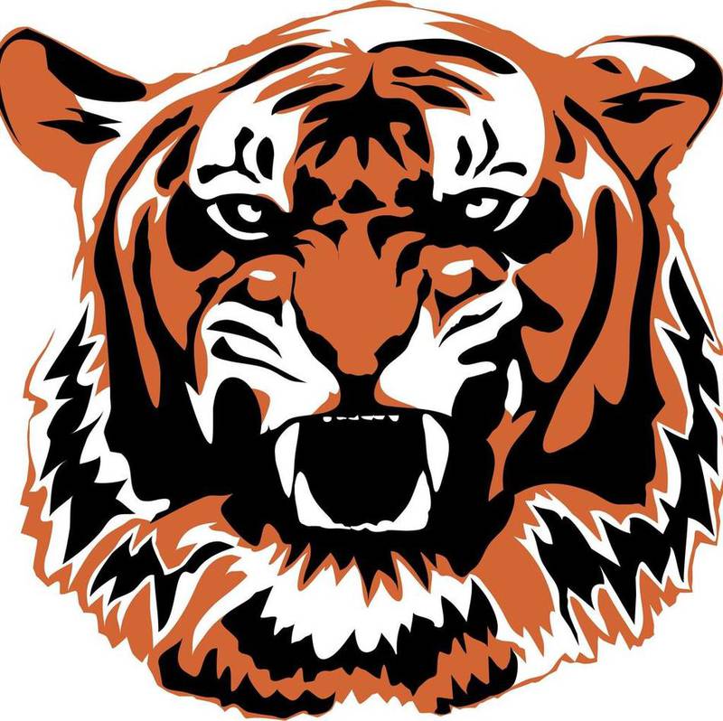 Crystal Lake Central Tigers