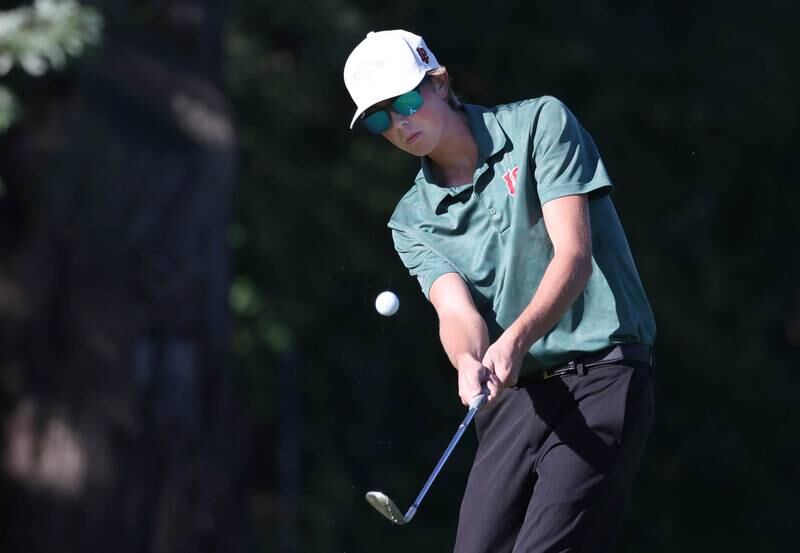 LaSalle-Peru’s Michael Milota chips onto the third green Monday, Sept. 23, 2024, during the Interstate 8 boys golf tournament at the Kishwaukee Country Club in DeKalb.