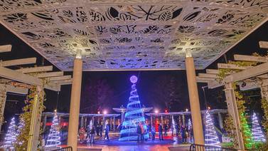 Morton Arboretum’s ‘Illumination: Tree Lights’ now open for 2025 holiday season